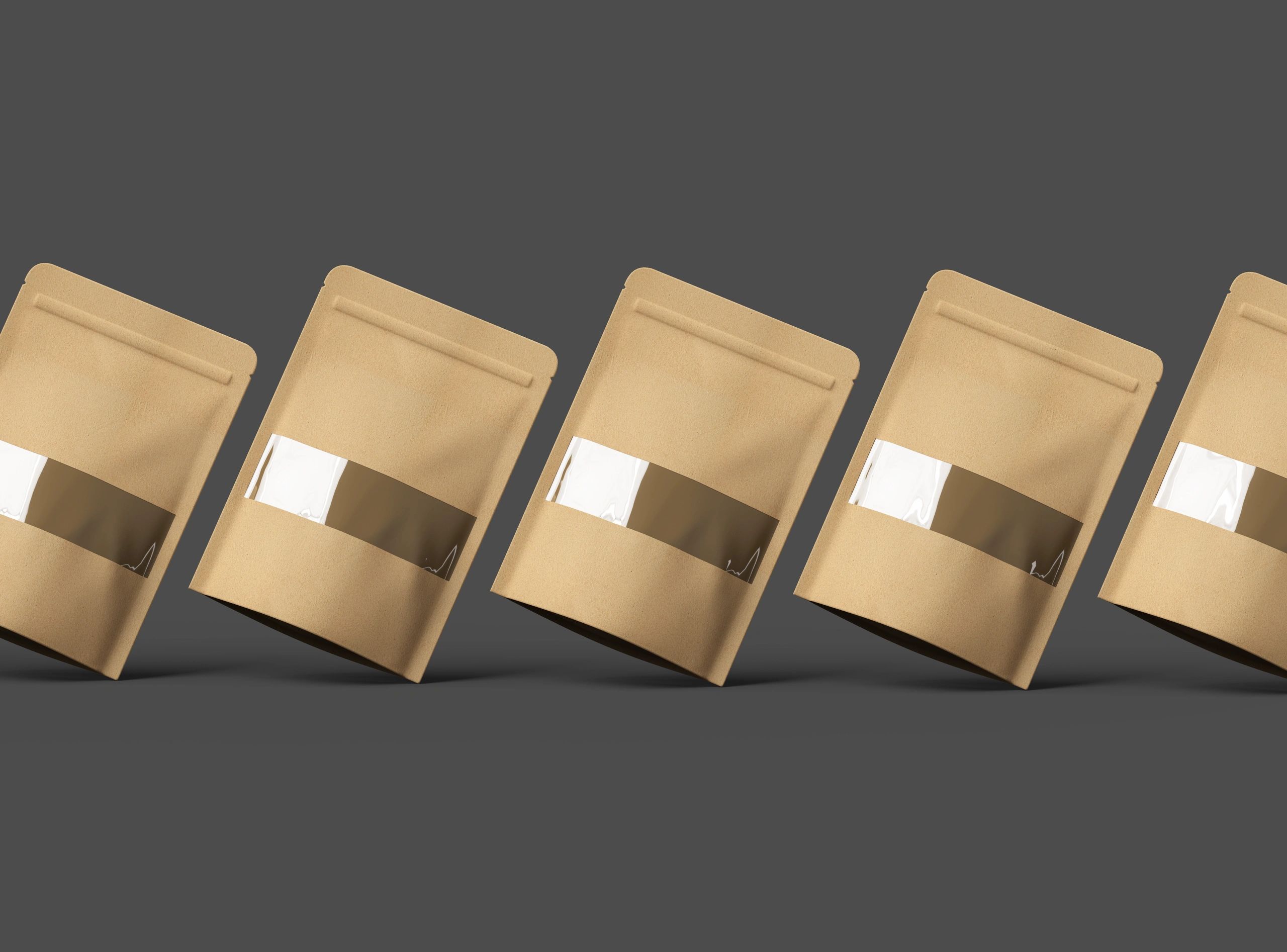 Generic paper pouch packaging mockup on dark background