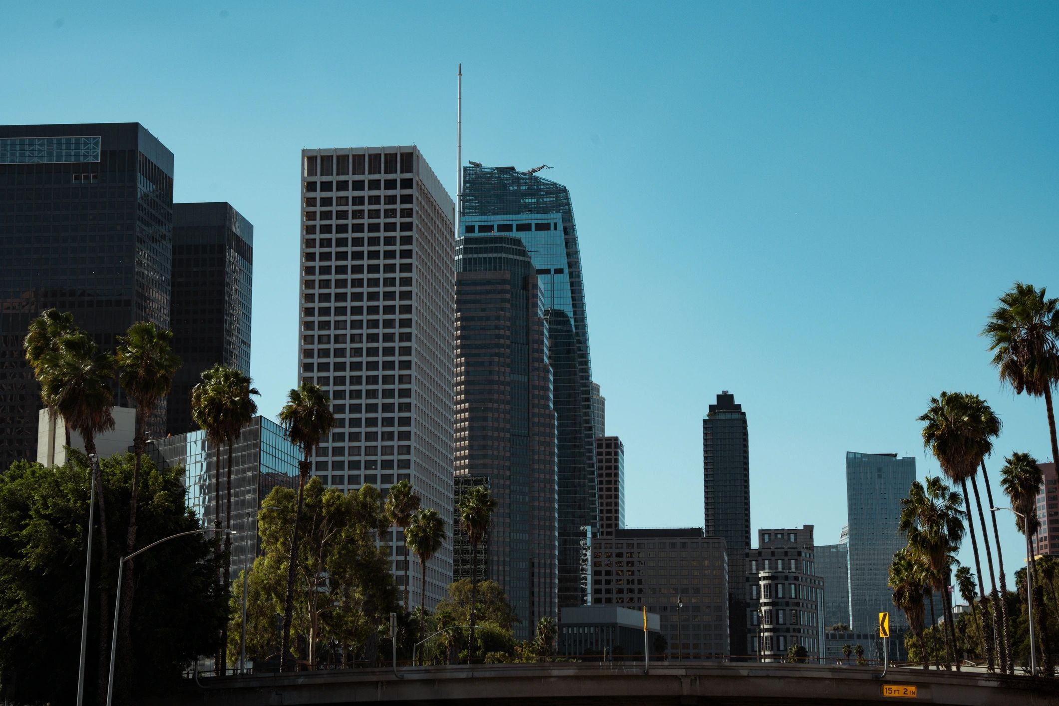 Los Angeles skyline with palm trees and clear blue sky
